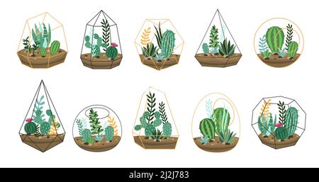 Set von Kakteen und Sukkulenten im Doodle-Terrarium. Florarium Cartoon Vektor Illustration. Tropische Hauspflanze, Dekor, botanisches Interieur, Gartenarbeit Stock Vektor