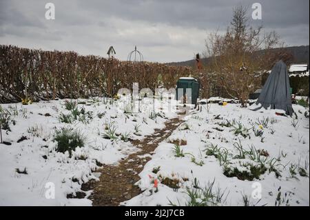 Wetter, Deutschland. 2. April 2022. Deutsches Wetter: Schnee Anfang April in Nordrhein-Westfalen, Wetter, Deutschland Credit: Sergey Kalyakin/Alamy Live News Stockfoto