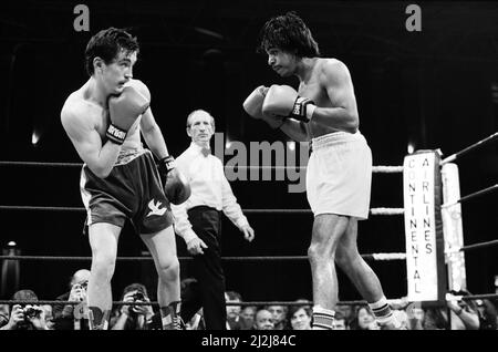 Barry McGuigans Comeback-Kampf gegen Nicky Perez, Alexandra Pavillion, London.Dies war McGuigans erster Kampf, nachdem er seinen WBA-Titel an Steve Cruz verloren hatte. McGuigan gewann durch KO in Runde vier. (Das Bild zeigt) Kampfaktion. 4.. April 1988. Stockfoto