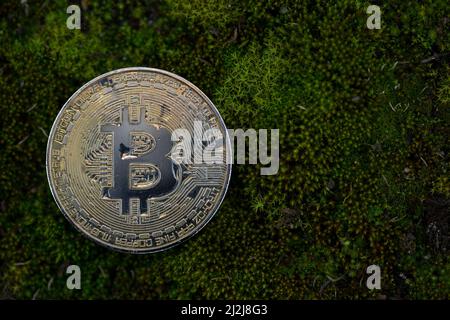 Bitcoin BTC Kryptowährung physische Münze auf dem grünen Moos und Gras platziert. Makroaufnahme. Eingerahmt auf der linken Seite des Bildes. Stockfoto