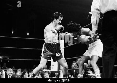 Barry McGuigans Comeback-Kampf gegen Nicky Perez, Alexandra Pavillion, London.Dies war McGuigans erster Kampf, nachdem er seinen WBA-Titel an Steve Cruz verloren hatte. McGuigan gewann durch KO in Runde vier. (Das Bild zeigt) Kampfaktion. 4.. April 1988. Stockfoto