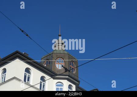 Nahaufnahme eines Mähne-Wolfes, der auf Gras steht Stockfoto