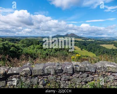 Die Eildon Hills von der anderen Seite des Tweed Valley aus gesehen, bei Scott's View in der Nähe von Melrose, Schottland, Großbritannien. Stockfoto