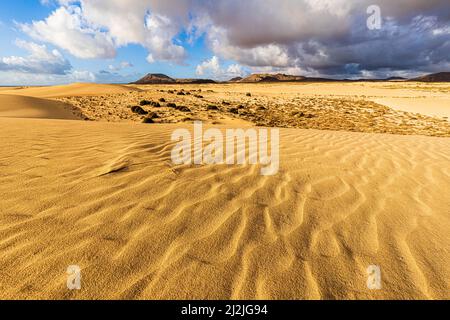 Wellige Sanddünen unter dem wolkigen Himmel, Naturpark Corralejo, Fuerteventura, Kanarische Inseln, Spanien Stockfoto