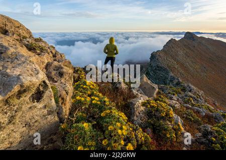 Person, die den Himmel bei Sonnenaufgang auf Felsen auf dem Gipfel des Pico de la Zarza, Fuerteventura, Kanarische Inseln, Spanien bewundert Stockfoto