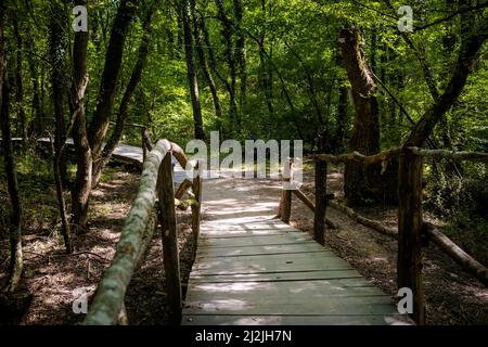 Sommerfoto des schönen Naturschutzgebietes Ropotamo in Bulgarien, Provinz Burgas. Stockfoto