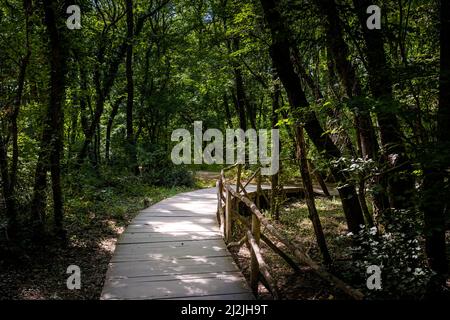 Sommerfoto des schönen Naturschutzgebietes Ropotamo in Bulgarien, Provinz Burgas. Stockfoto