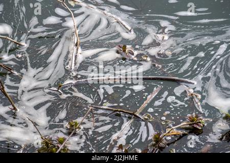 Taplow, Buckinghamshire, Großbritannien. 2.. April 2022. Verschmutzung auf dem Jubilee River in Taplow. Im Jahr 2021 haben Wasserunternehmen in England 372.533 Mal Rohabwässer in Flüsse geleitet. Bis 2040 sollen die Abwassereinleitungen in Flüsse um 40 % reduziert werden, aber viele Umweltschützer sagen, dass dies zu wenig, zu spät ist. Quelle: Maureen McLean/Alamy Live News Stockfoto