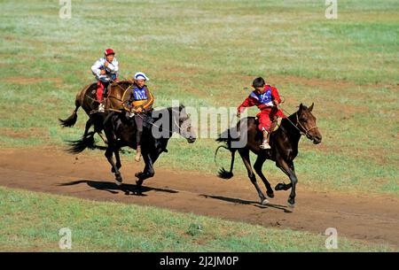 Ulaanbaatar, Mongolei. Naadam ist ein traditionelles Festival in der Mongolei. Pferdewettbewerb Stockfoto