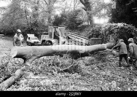 Der Große Sturm Oktober 1987. Unser Bild Zeigt . . . Sturmschäden, Henley on Thames, Oxfordshire, England, 16.. Oktober 1987. Der große Sturm von 1987 ereignete sich in der Nacht vom 15.. Auf den 16.. Oktober 1987. Ein ungewöhnlich starkes Wettersystem führte dazu, dass Winde einen Großteil Südenglands und Nordfrankreichs trafen. Es war der schlimmste Sturm, der England seit dem Großen Sturm von 1703 getroffen hat. Der Schaden wurde auf 7,3 Milliarden Pfund im Vereinigten Königreich und 23 Milliarden Franken im Vereinigten Königreich geschätzt. Stockfoto