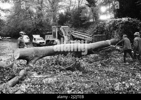 Der Große Sturm Oktober 1987. Unser Bild Zeigt . . . Sturmschäden, Henley on Thames, Oxfordshire, England, 16.. Oktober 1987. Der große Sturm von 1987 ereignete sich in der Nacht vom 15.. Auf den 16.. Oktober 1987. Ein ungewöhnlich starkes Wettersystem führte dazu, dass Winde einen Großteil Südenglands und Nordfrankreichs trafen. Es war der schlimmste Sturm, der England seit dem Großen Sturm von 1703 getroffen hat. Der Schaden wurde auf 7,3 Milliarden Pfund im Vereinigten Königreich und 23 Milliarden Franken im Vereinigten Königreich geschätzt. Stockfoto