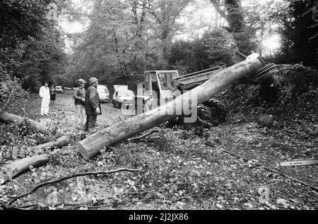 Der Große Sturm Oktober 1987. Unser Bild Zeigt . . . Sturmschäden, Henley on Thames, Oxfordshire, England, 16.. Oktober 1987. Der große Sturm von 1987 ereignete sich in der Nacht vom 15.. Auf den 16.. Oktober 1987. Ein ungewöhnlich starkes Wettersystem führte dazu, dass Winde einen Großteil Südenglands und Nordfrankreichs trafen. Es war der schlimmste Sturm, der England seit dem Großen Sturm von 1703 getroffen hat. Der Schaden wurde auf 7,3 Milliarden Pfund im Vereinigten Königreich und 23 Milliarden Franken im Vereinigten Königreich geschätzt. Stockfoto