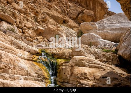 Wadi Ghuweir Canyon Landschaft, Jordanien. Stockfoto