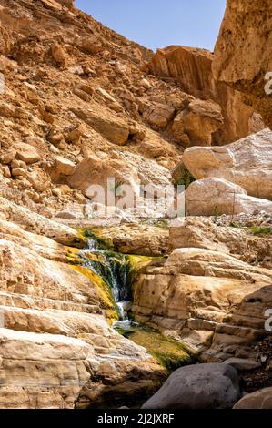 Wadi Ghuweir Canyon Landschaft, Jordanien. Stockfoto