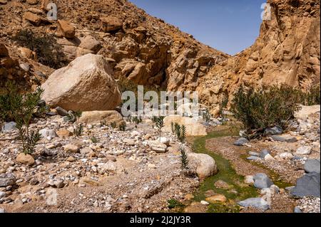 Wadi Ghuweir Canyon Landschaft, Jordanien. Stockfoto