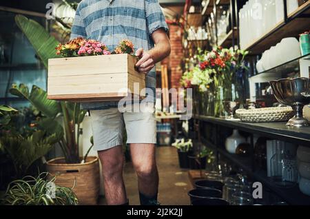 Frische und wunderbare Blumen kommen gleich hoch. Ausgeschnittene Aufnahme eines nicht erkennbaren Floristen, der eine Kiste voller Blumen in einem Pflanzenkindergarten hält. Stockfoto