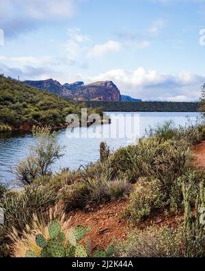 Blick auf eine Bucht am Saguaro Lake vom Butcher Jones Wanderweg im Tonto National Forest, Arizona, USA. Stockfoto