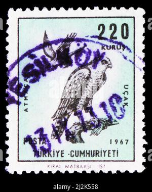 MOSKAU, RUSSLAND - 13. MÄRZ 2022: In der Türkei gedruckte Briefmarke zeigt eurasischen Sparrowhawk (Accipiter nisus), Birds of Prey 5V Serie, um 1967 Stockfoto