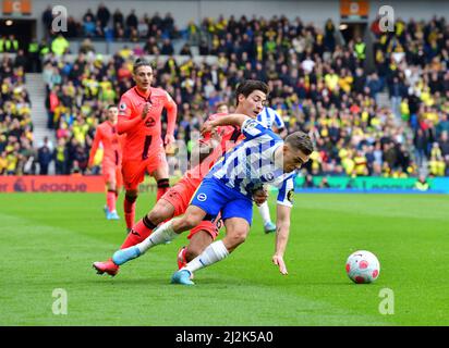 Brighton, Großbritannien. 02. April 2022. Leandro Trossard von Brighton und Hove Albion sowie Mathias Normann von Norwich City während des Premier League-Spiels zwischen Brighton & Hove Albion und Norwich City am 2. 2022. April beim Amex in Brighton, England. (Foto von Jeff Mood/phcimages.com) Quelle: PHC Images/Alamy Live News Stockfoto