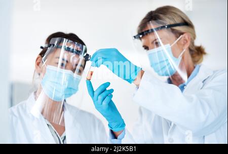 Die Funktionsweise der Welt durch die Wissenschaft verstehen. Aufnahme von zwei Wissenschaftlern, die Proben gemeinsam in einem Labor analysieren. Stockfoto