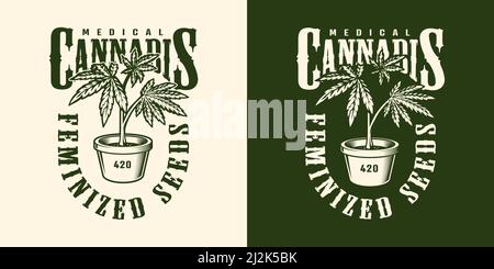 Vintage Cannabis Blume Label Vorlage in monochromen Stil isoliert Vektor Abbildung Stock Vektor