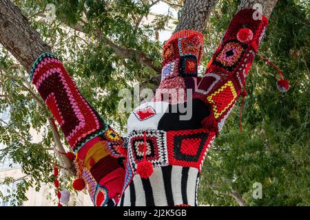 Bunte Häkelstrick auf einem Baumstamm Garn Bombing. Patchwork gestrickter, gehäkelter Baum für Wärme, Schutz und Dekoration. Hohe Auflösung Stockfoto