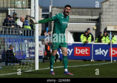 HARTLEPOOL, GROSSBRITANNIEN. APR 2. Torwart Tom King von Salford City während des Spiels der Sky Bet League 2 zwischen Hartlepool United und Salford City im Victoria Park, Hartlepool, am Samstag, den 2.. April 2022. (Kredit: Michael Driver | MI Nachrichten) Kredit: MI Nachrichten & Sport /Alamy Live Nachrichten Stockfoto