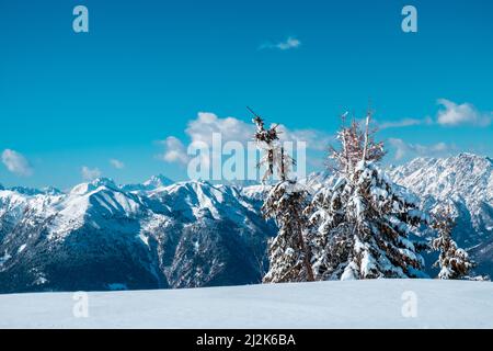 Auf dem Berg Zoncolan, Karnischen alpen nach einem großen Schneefall. Provinz Udine, Region Friaul-Julisch Venetien, Italien Stockfoto