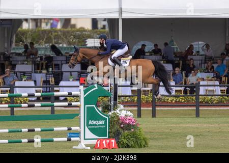 Wellington, FL, USA. 2.. April 2022. Daniel Deusser reitet auf Killer Queen VDM während des Rolex Grand Prix CSI5 $500.000 im Derby Field im Equestrian Village. Springen CSI5. Großer Preis Des Reitsports. Kredit: Yaroslav Sabitov/YES Market Media/Alamy Live Nachrichten. Stockfoto