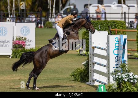 Wellington, FL, USA. 2.. April 2022. Jockey-Reitpferd während des Rolex Grand Prix CSI5 $500.000 im Derby Field im Equestrian Village. Springen CSI5. Großer Preis Des Reitsports. Kredit: Yaroslav Sabitov/YES Market Media/Alamy Live Nachrichten. Stockfoto