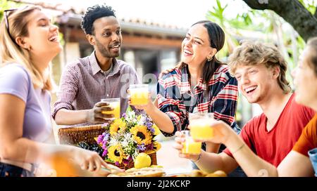 Fröhliche Jungs und Mädchen, die beim Picknick auf dem Bauernhof gesunden Orangensaft toasten - Life Style Konzept mit multikulturellen Freunden, die gemeinsam Spaß haben Stockfoto