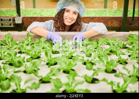 Fröhliche Gärtnerin, die das Pflanzenwachstum kontrolliert. Fröhliche Frau in Einwegkappe in der Nähe von Gewächshaus Regal mit Pflanzen stehen. Stockfoto