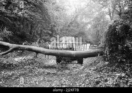 Der Große Sturm Oktober 1987. Unser Bild Zeigt . . . Sturmschäden, Henley on Thames, Oxfordshire, England, 16.. Oktober 1987. Der große Sturm von 1987 ereignete sich in der Nacht vom 15.. Auf den 16.. Oktober 1987. Ein ungewöhnlich starkes Wettersystem führte dazu, dass Winde einen Großteil Südenglands und Nordfrankreichs trafen. Es war der schlimmste Sturm, der England seit dem Großen Sturm von 1703 getroffen hat. Der Schaden wurde auf 7,3 Milliarden Pfund im Vereinigten Königreich und 23 Milliarden Franken im Vereinigten Königreich geschätzt. Stockfoto