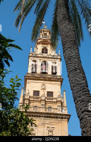 Umgebauter Minarett-Glockenturm der Moschee Kathedrale von Cordoba, Andalusien, Spanien Stockfoto