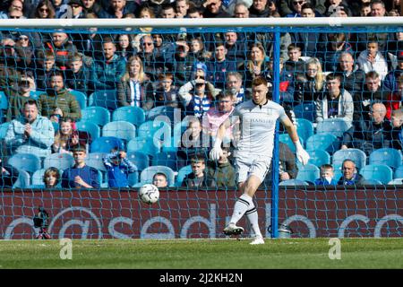 Bailey Peacock-Farrell #1 von Sheffield Wednesday Stockfoto