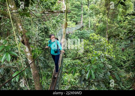 Canopy Walk im Regenwald, Gunung Mulu National Park, Sarawak, Malaysia Stockfoto