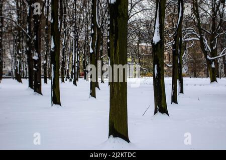 Warschau, Polen. 2. April 2022. Ein öffentlicher Park ist in der Nacht zuvor von einem Sturm mit Schnee bedeckt. Die Stadt Warschau wurde von einem frühen Schneefall im Frühjahr getroffen. (Bild: © Ty O'Neil/SOPA Images via ZUMA Press Wire) Stockfoto