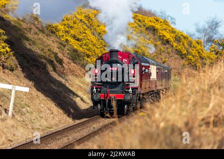 Weybourne, Großbritannien – 2. 2022. April: Spring Steam Gala Event auf der North Norfolk Poppy Line Credit: Richard O'Donoghue/Alamy Live News Stockfoto