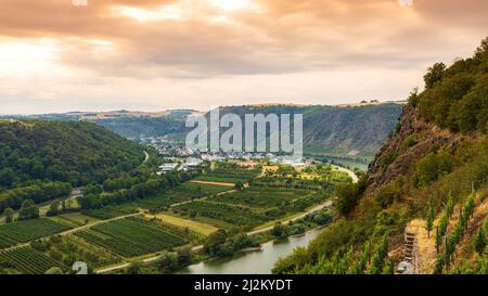 Blick auf ein stahlträger Brücke zwischen Hunsrück und Eifel erstreckt sich über die Mosel und die Weinberge Winninger Wein Region suchen. Stockfoto