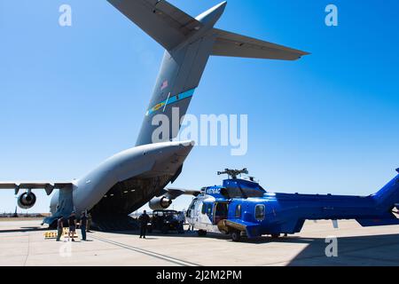 Air National Guard Transportation: Bürger-Flieger der Logistic Readiness Squadron 136. arbeiten zusammen mit Reserve und Active Duty Airmen daran, einen Super Puma-Hubschrauber für den Transport auf einem C-17 vorzubereiten und zu laden, der für den Verantwortungsbereich von US AFRICOM am 20. März 2022 im NAS Fort Worth JRB, Texas, ansteuert. Das Team der Total Force konfigurierte Paletten mit Hilfsgeräten sowie die Rotorblätter und den Hubschrauber, um auf eine C-17 aus Dover, D., zu passen, führte die gemeinsame Inspektion durch und lud die einzigartigen Flugzeuge fachmännisch für Such- und Rettungseinsätze ein. (Foto der US Air National Guard von SRA Char Stockfoto