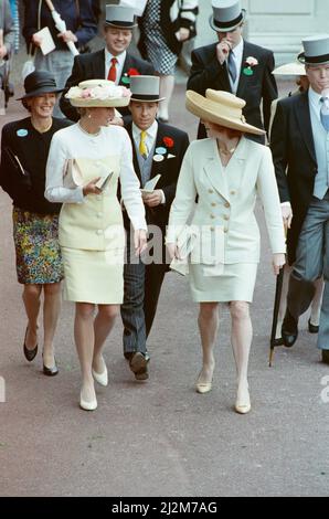 Ihre Königliche Hoheit, die Prinzessin von Wales, Prinzessin Diana (links) und die Herzogin von York (rechts) genießen den Tag, während sie beim Royal Ascot Event vom 1991. Juni miteinander reden. Prinzessin Diana trägt einen von Catherine Walker entworfenen Anzug aus Zitrone und weißer Seide. Und einen Hut mit Rosenbefüllung. Der Designer ist davon nicht bekannt. Bild aufgenommen am 19.. Juni 1991 Stockfoto