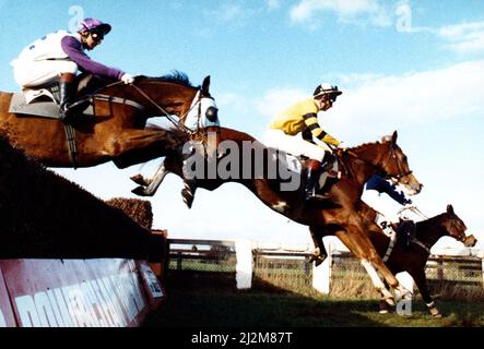 Sedgefield Racecourse ist eine Pferderennbahn südlich der Stadt Durham, in der Nähe des Dorfes Sedgefield, County Durham. Novizen der Federation Brewery, Bonnie Artist mit Jockey Alan Merrigan (in gelb) räumt in großartiger Manier einen Zaun, er gewann mit 12 Längen. Der arme alte Crossett Cruisader und Johnnie Beardsall (in lila) konnten den Kurs nicht abschließen. 3.. November 1989. Stockfoto