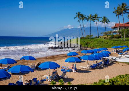 Blick auf Polo Beach und Palmen, Wailea, Makena, Süd Maui, Hawaii. Stockfoto