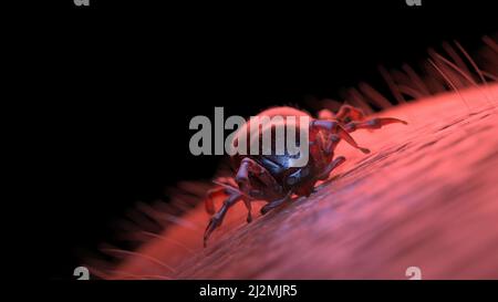 Tick beißt menschliche Haut, Illustration Stockfoto
