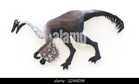 Gallimimus, Illustration Stockfoto