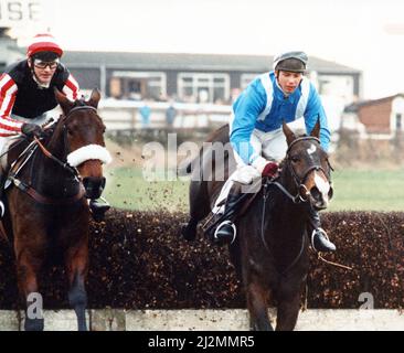 Sedgefield Racecourse ist eine Pferderennbahn südlich der Stadt Durham, in der Nähe des Dorfes Sedgefield, County Durham. Lingham Bride (links) und Michael Hammond (rechts) führen nur ihre einzige Rivalin Miss Club Royal (Mark Dwyer) an. Beide Pferde fielen am viertletzten Zaun und wurden wieder montiert, Miss Club Royal gewann mit 12 Längen. 22.. November 1989. Stockfoto