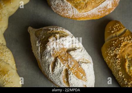 Schönes Sauerteigbrot auf grauem Hintergrund mit getrockneter Weizenblume. Stockfoto