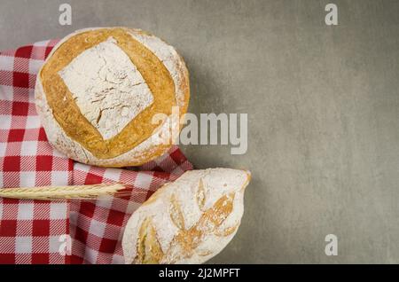 Schönes Sauerteigbrot auf grauem Hintergrund mit getrockneter Weizenblume. Stockfoto