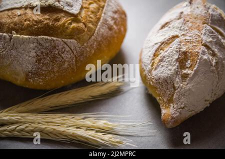 Schönes Sauerteigbrot auf grauem Hintergrund mit getrockneter Weizenblume. Stockfoto