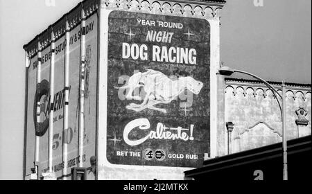 Großes Schild, das Hunderennen im Caliente in der Innenstadt von San Diego, CA, fördert Stockfoto